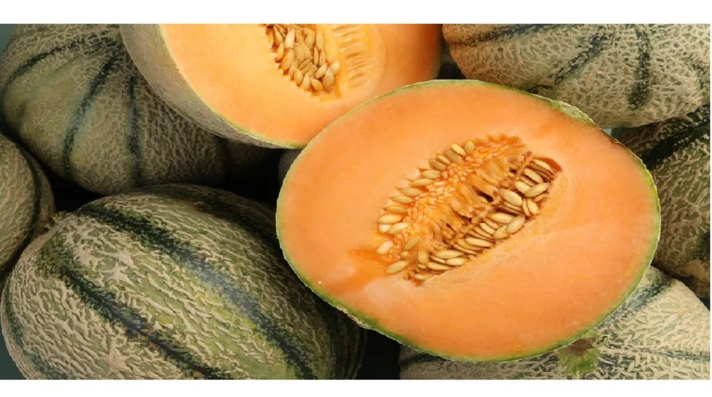 Placer den her: Sådan får du din melon til at holde sig frisk i op til to uger
