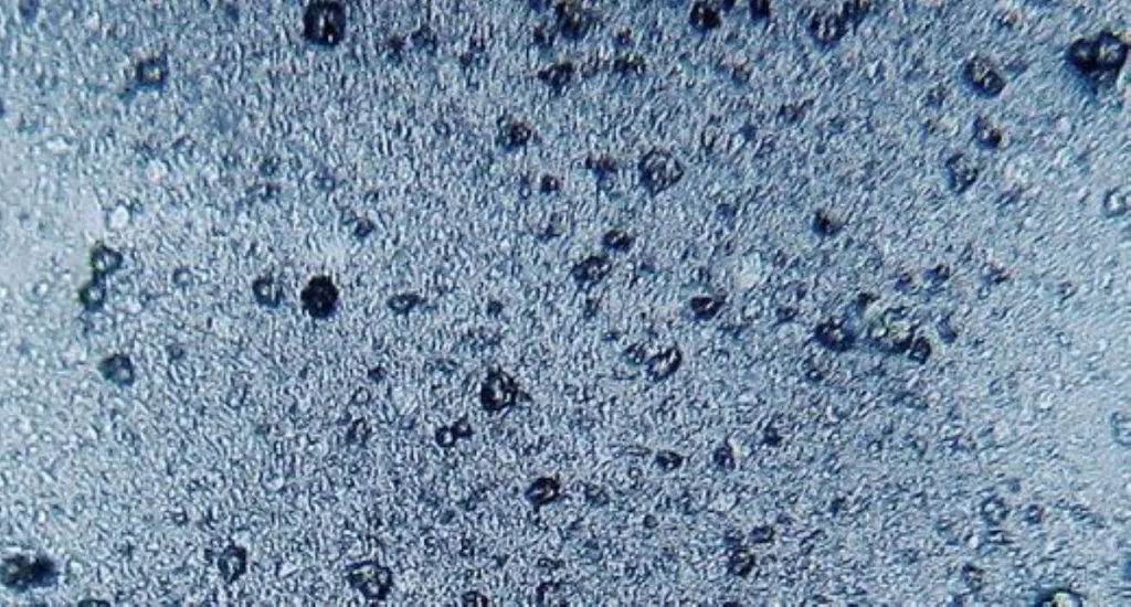 microplastic