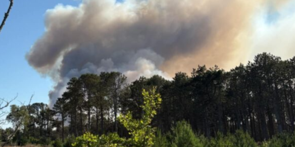 Naturbrand brudt ud i Danmark: “Vi har ikke kontrol over den”