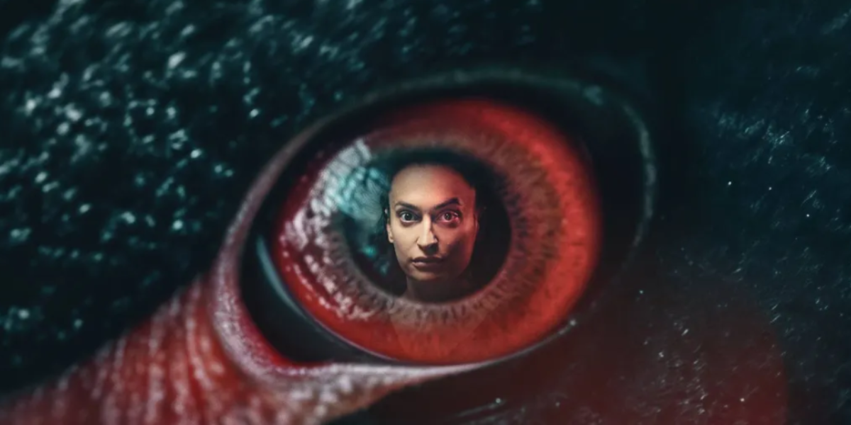 Trist nyt for ‘Den sorte svane’-svindler: Så mange penge skal han af med