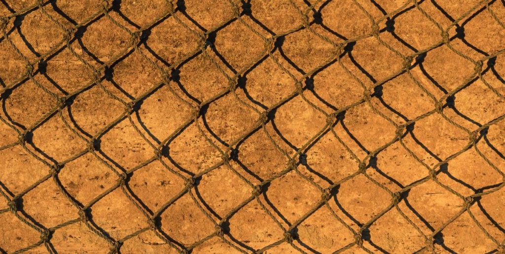 net fishing