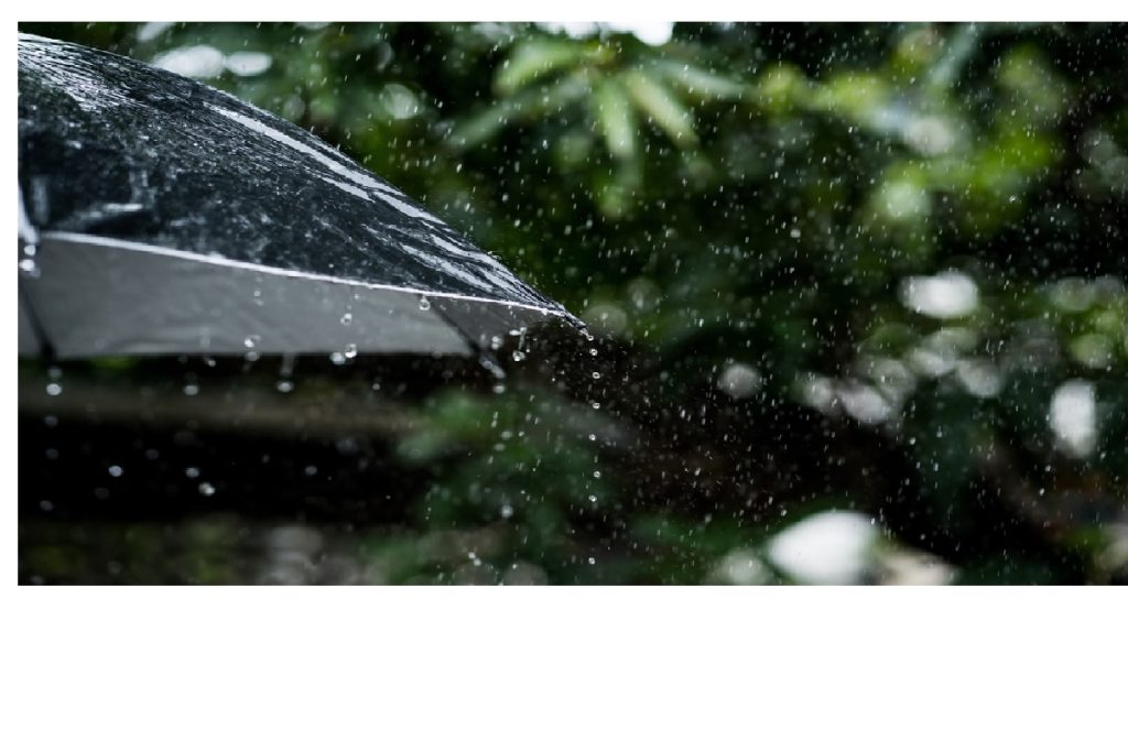 Rain umbrella