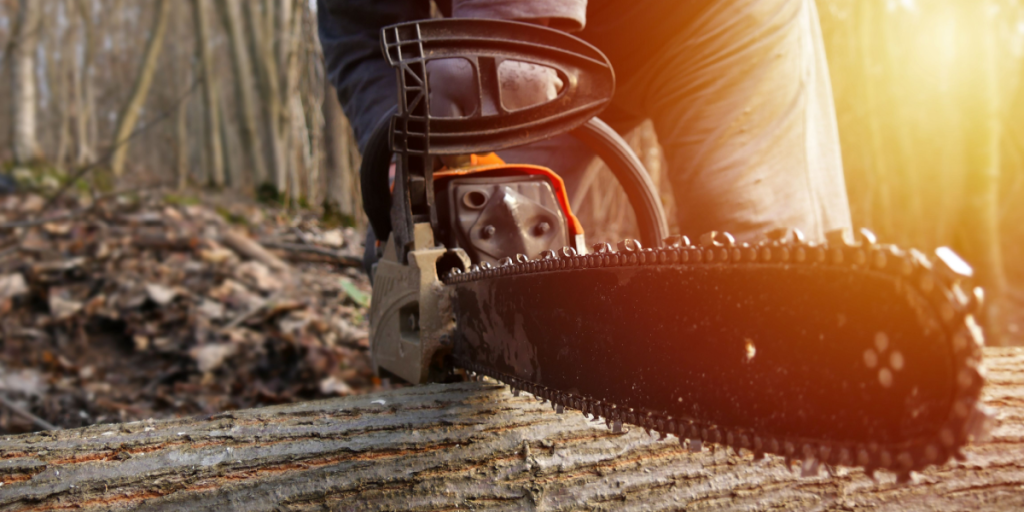 Chainsaw