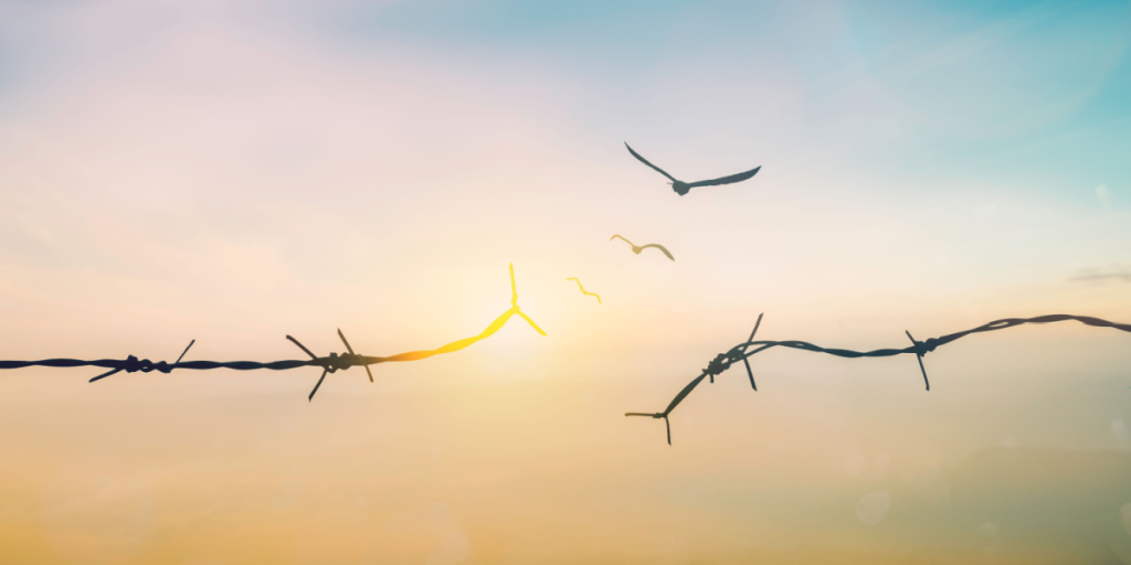 Freedom, prison, peace, liberation