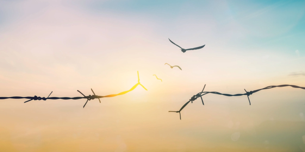Freedom, prison, peace, liberation