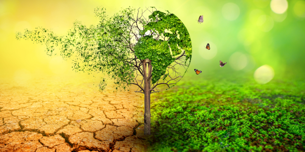 Ecosystem, collapse