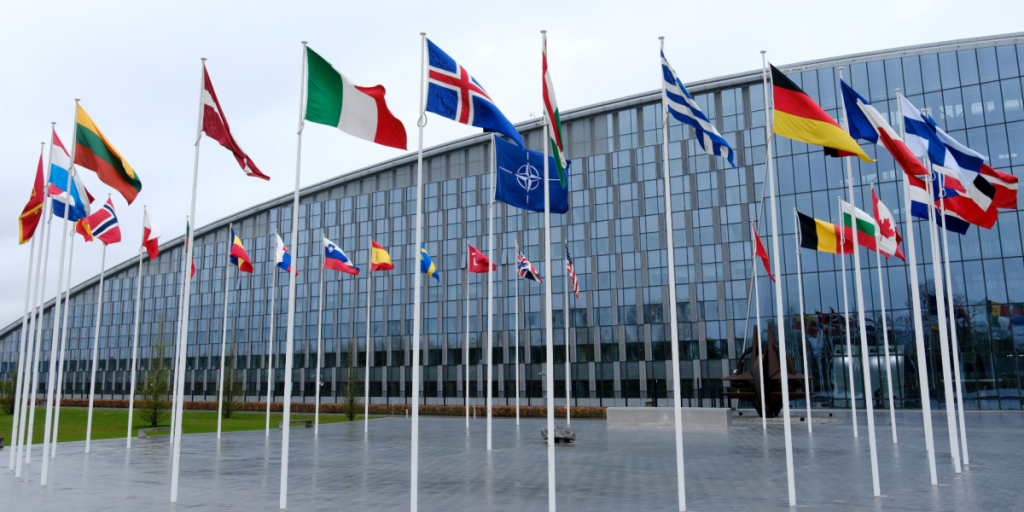 NATO members, flags