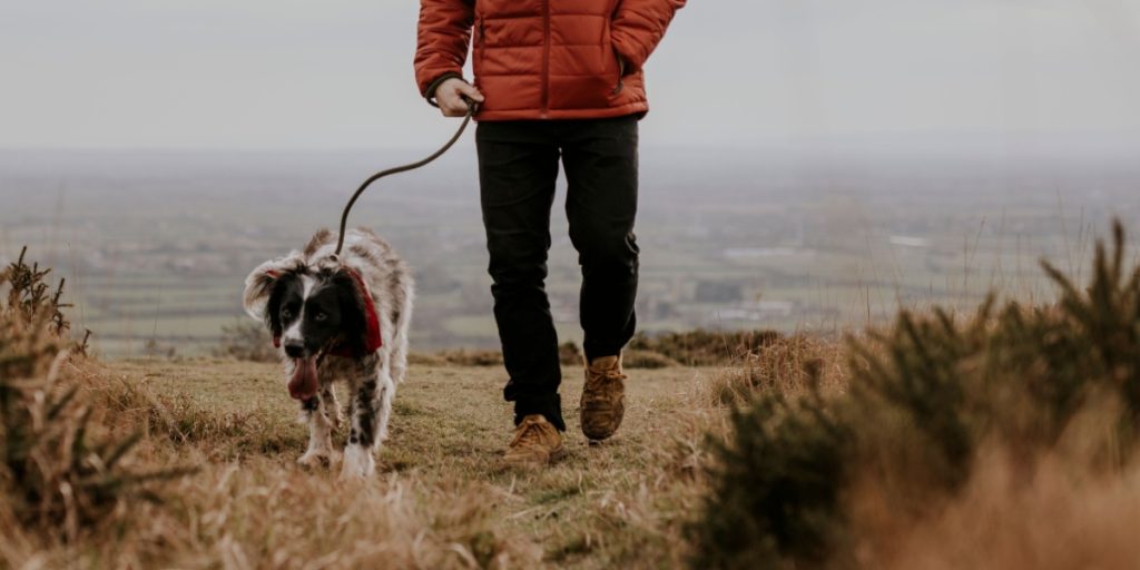 Mere skal der ikke til: Det sker med din krop, hvis du går 1,5 km om dagen