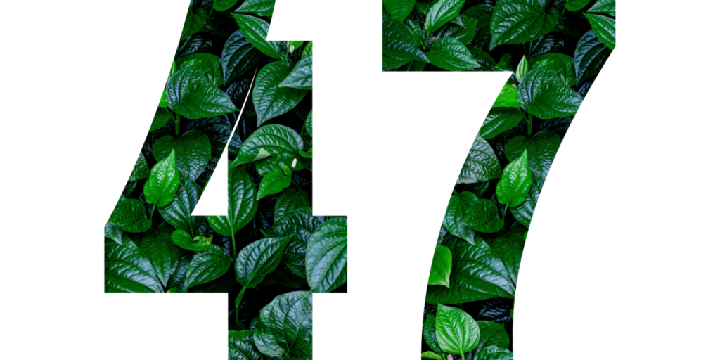 47, leaves, nature