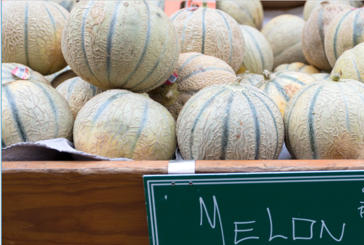 Melon