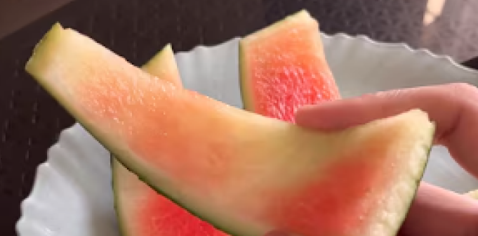 Vandmelon, watermelon, melon