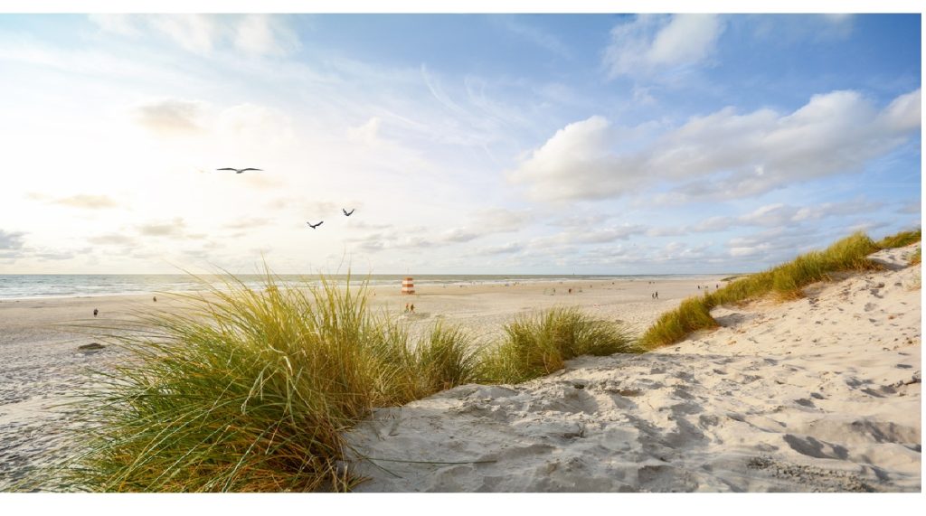 Skagen