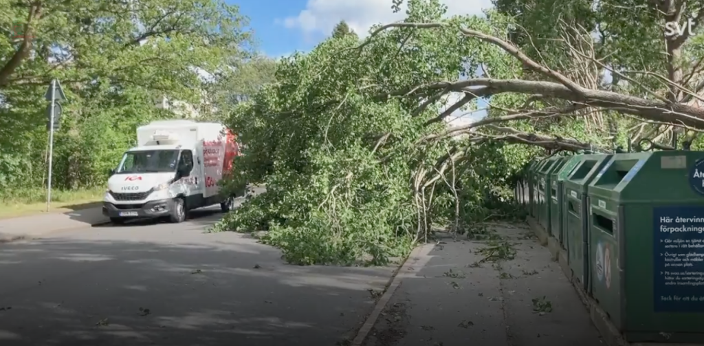 storm, stormväder