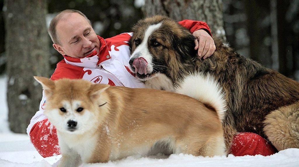 Vladimir_Putin