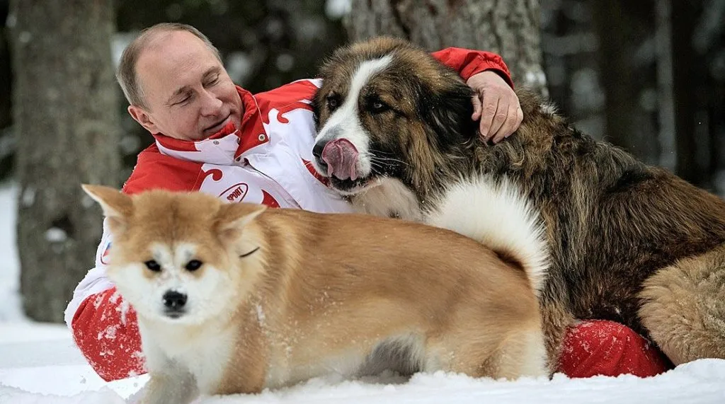Vladimir_Putin