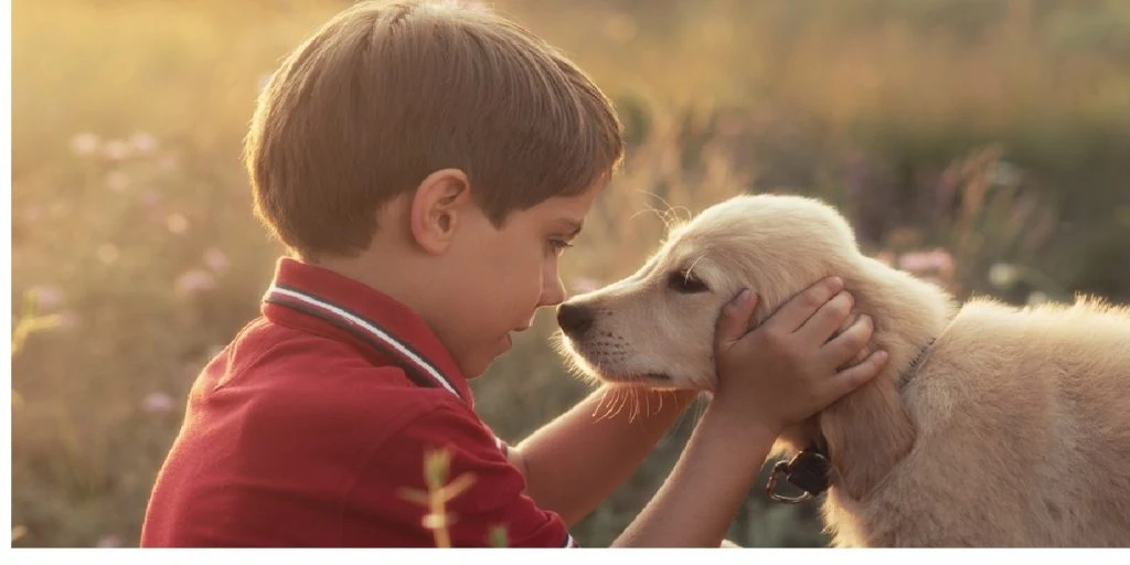 cute dog boy