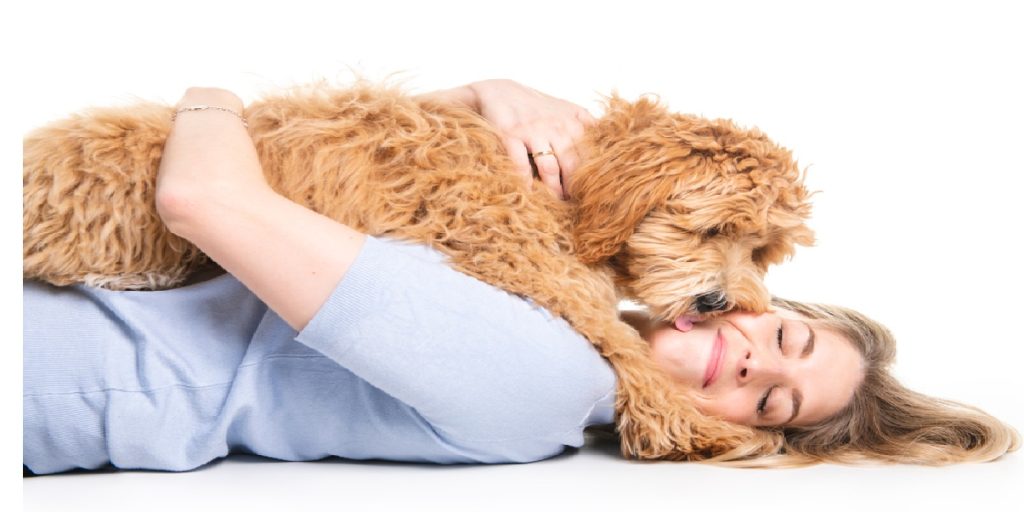 dog love human