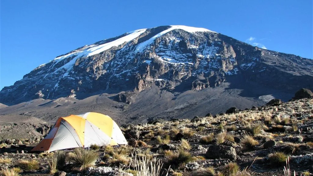 Kilimanjaro