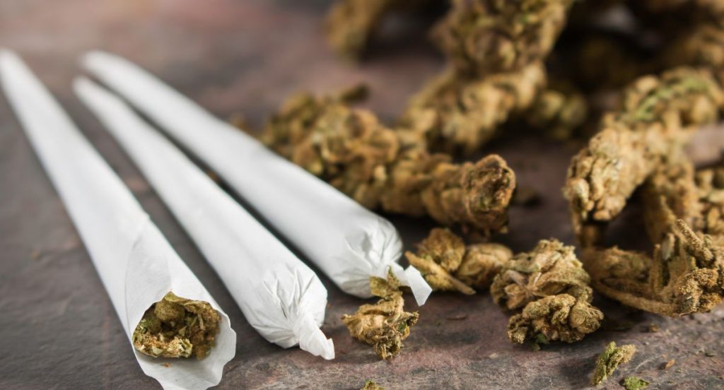 Cannabis