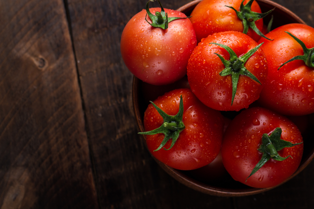 Fresh,Tomatoes,In,A,Plate,On,A,Dark,Background.,Harvesting