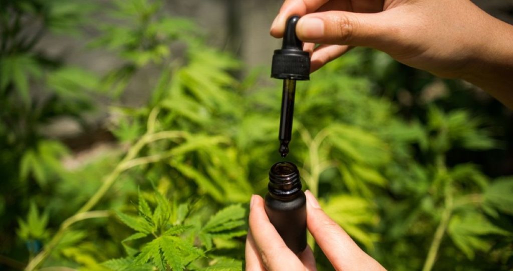 CBD cannabis Oil