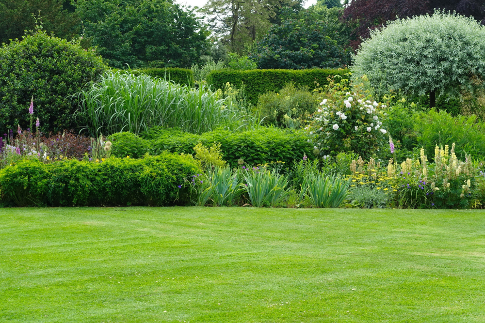 garden, lawn,
