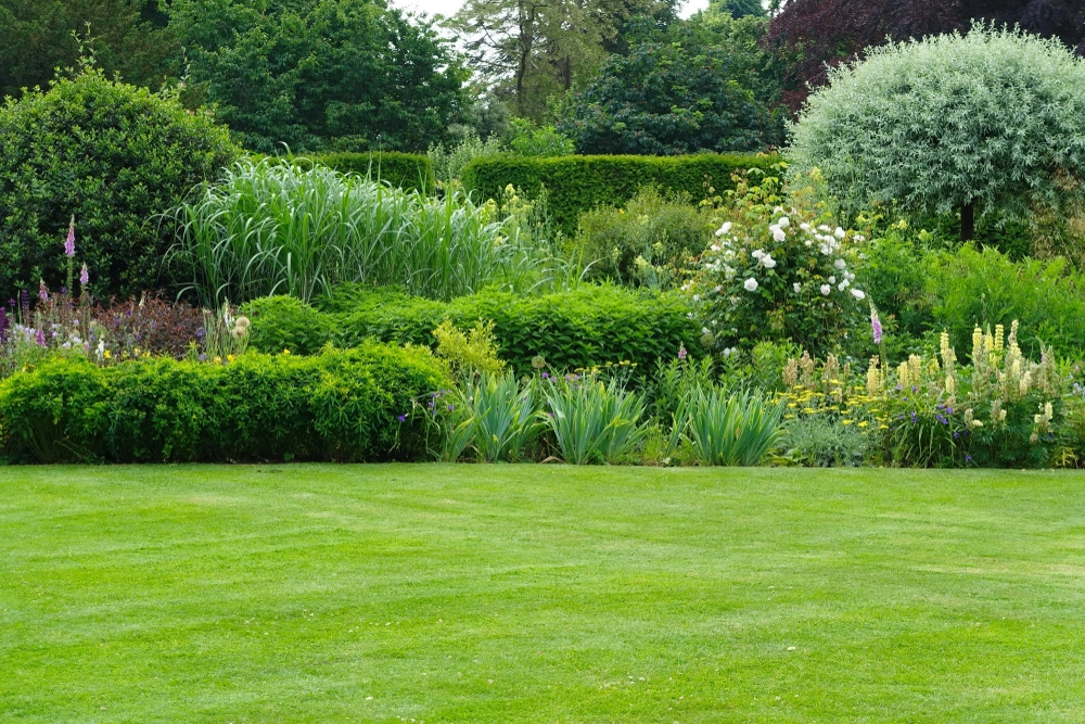 garden, lawn,