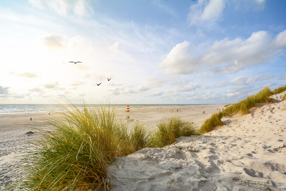 Skagen
