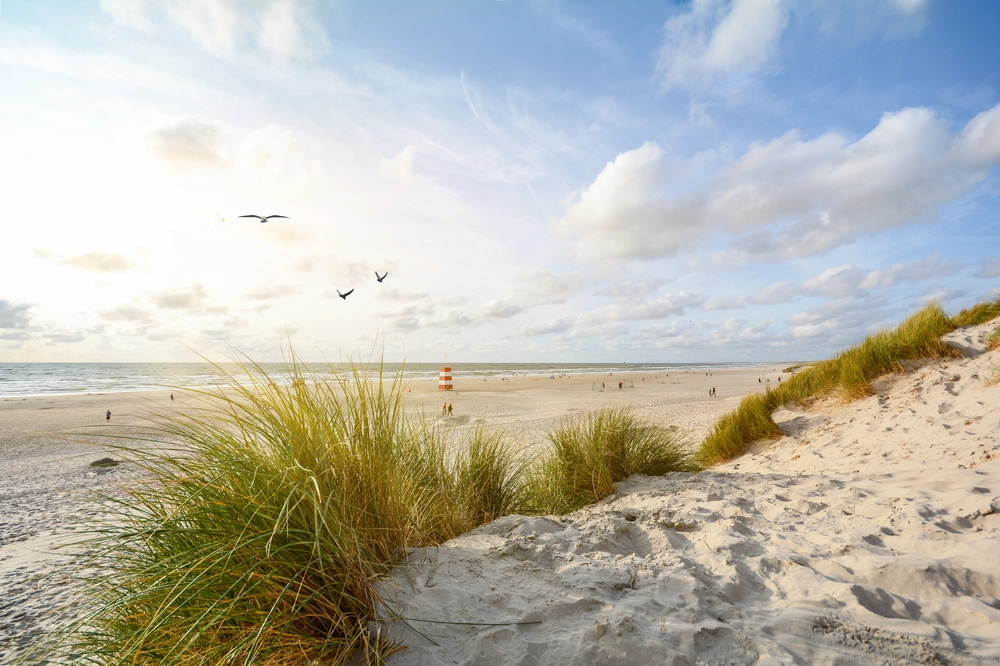 Skagen