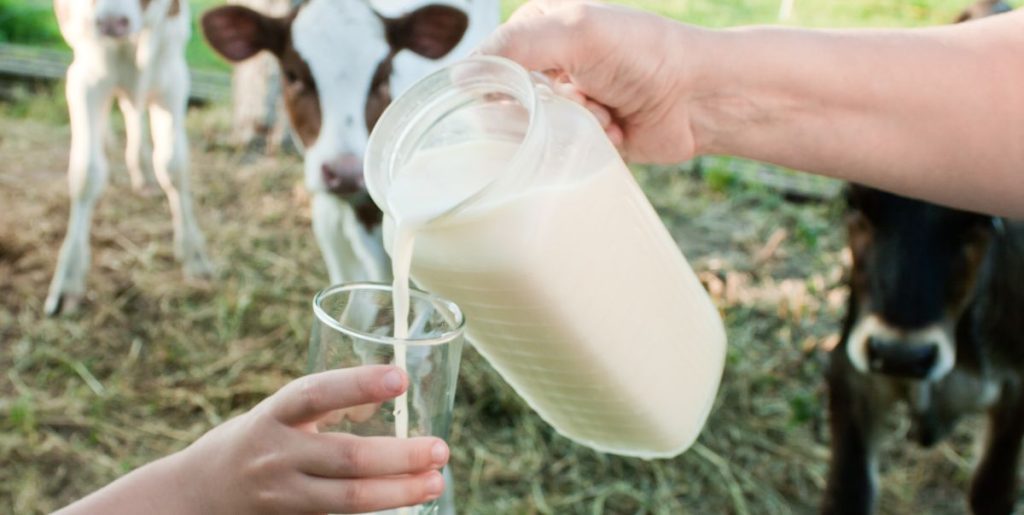 Mælk arla milk glass pour child cow