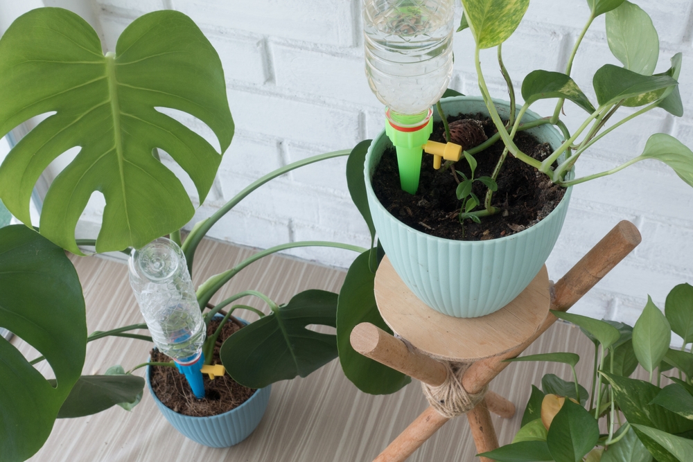 Smart,PlasticBottle,watering system, plants, planter, vanningssystem