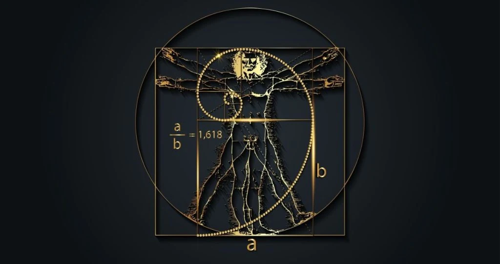 vitruvian man
