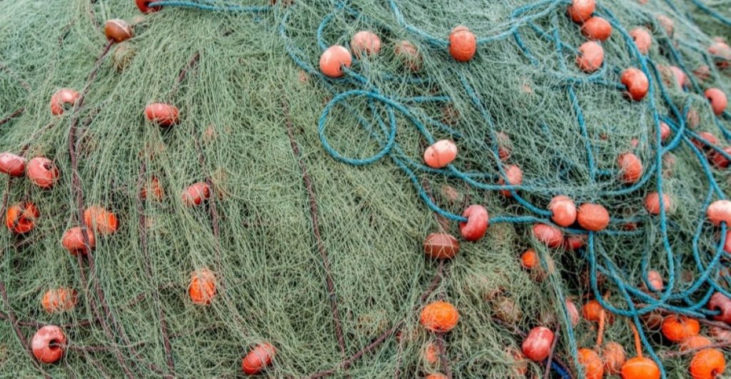 net fiskenet fishing