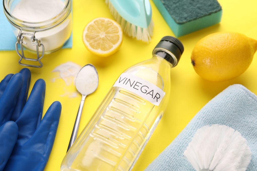Vinegar, lemon, salt, rubber gloves, eddik, sitron, gummihansker