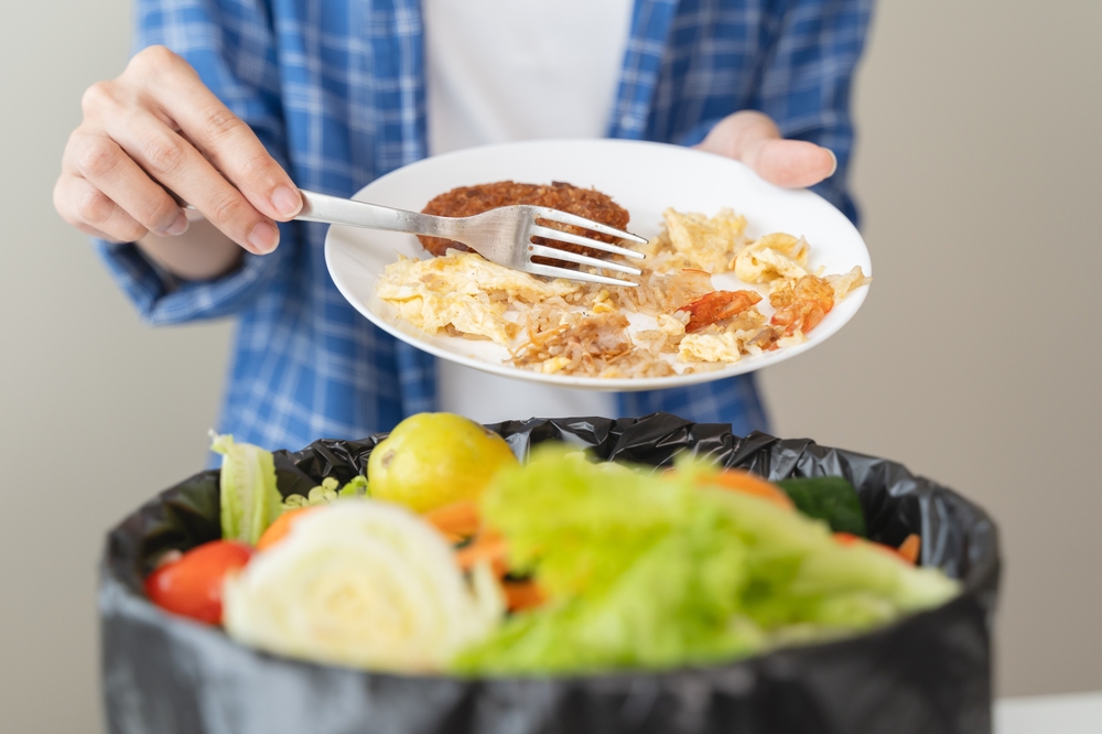 food,waste,madspil