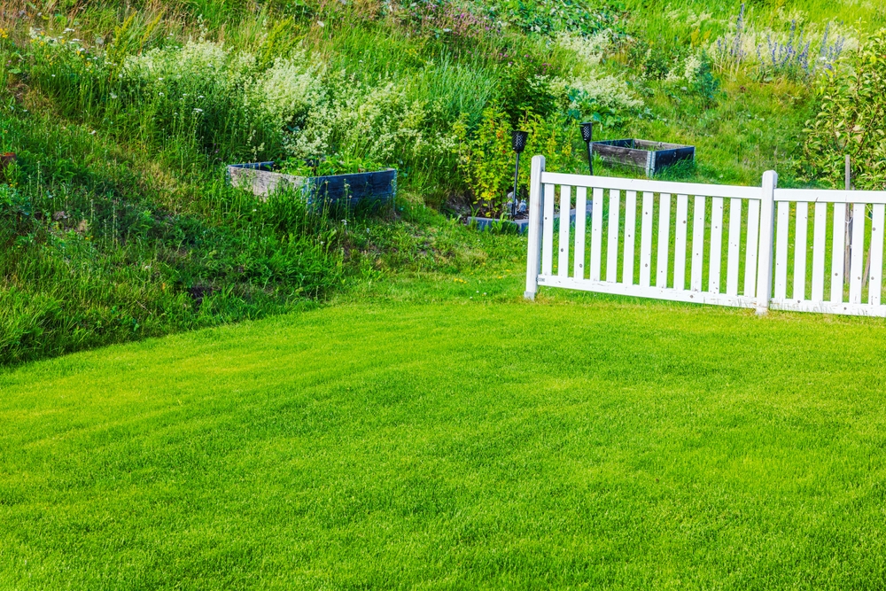 garden, lawn,
