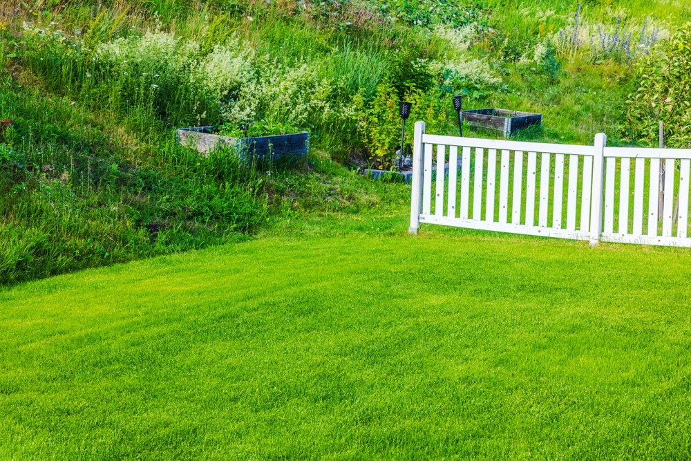 garden, lawn,