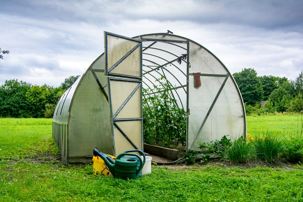 Greenhouse, drivhus