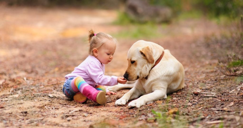 pige girl dog hund