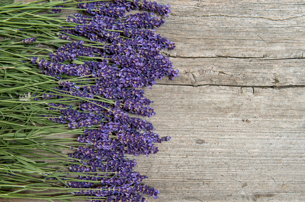 Lavender,Flowers,On,Wooden,Background.,Bouquet,Of,Fresh,Blossoms