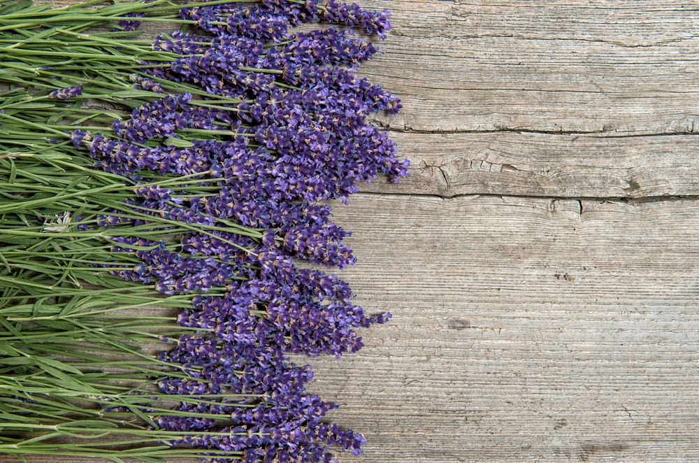 Lavender,Flowers,On,Wooden,Background.,Bouquet,Of,Fresh,Blossoms
