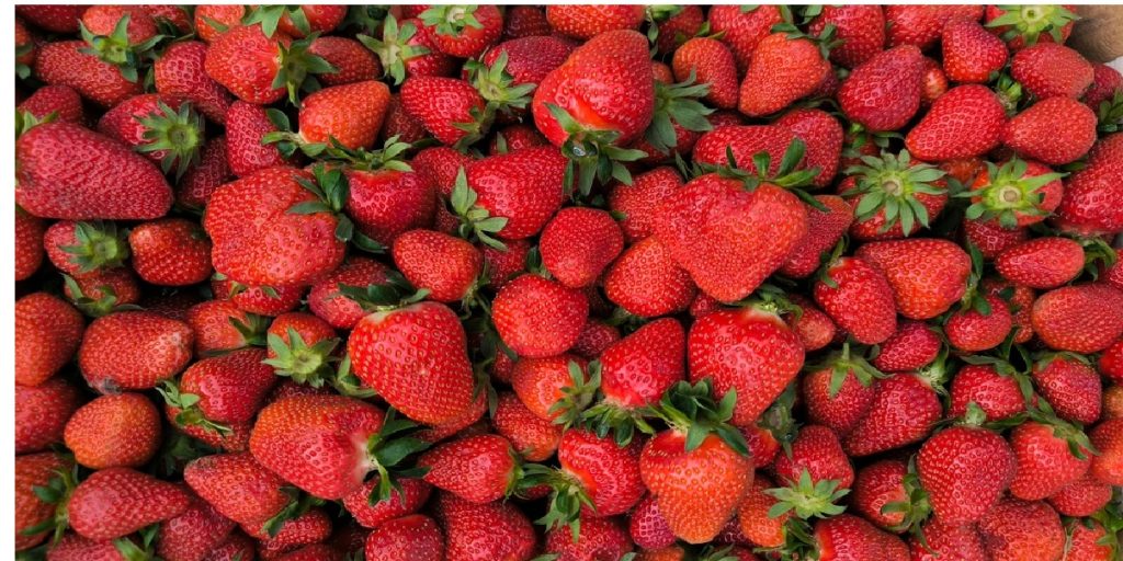 Strawberry fresh fruit
