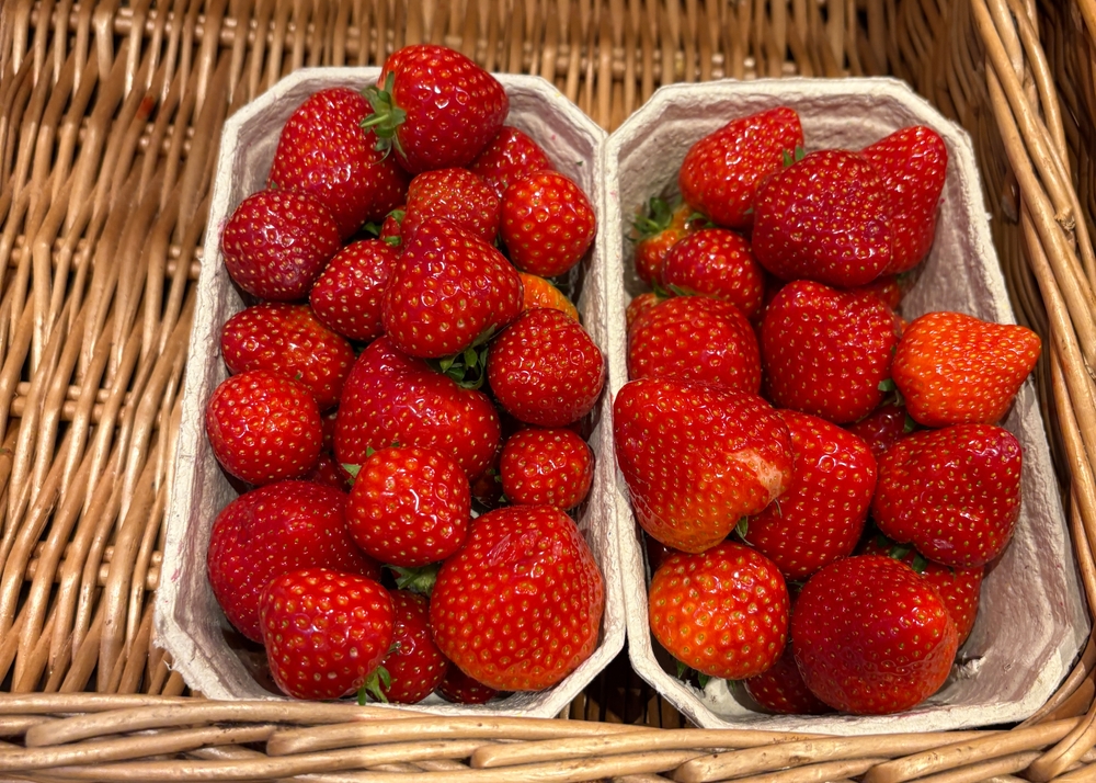 Bright,Red,Strawberries,Fill,Two,Baskets,At,A,Local,Farmers