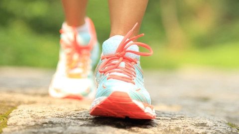 Foto: Shutterstock.com
