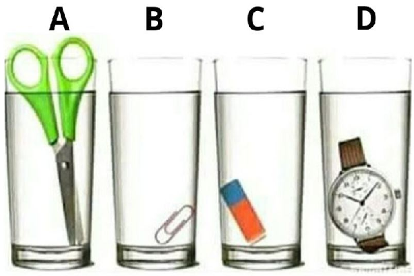 Quiz, hjernetrim