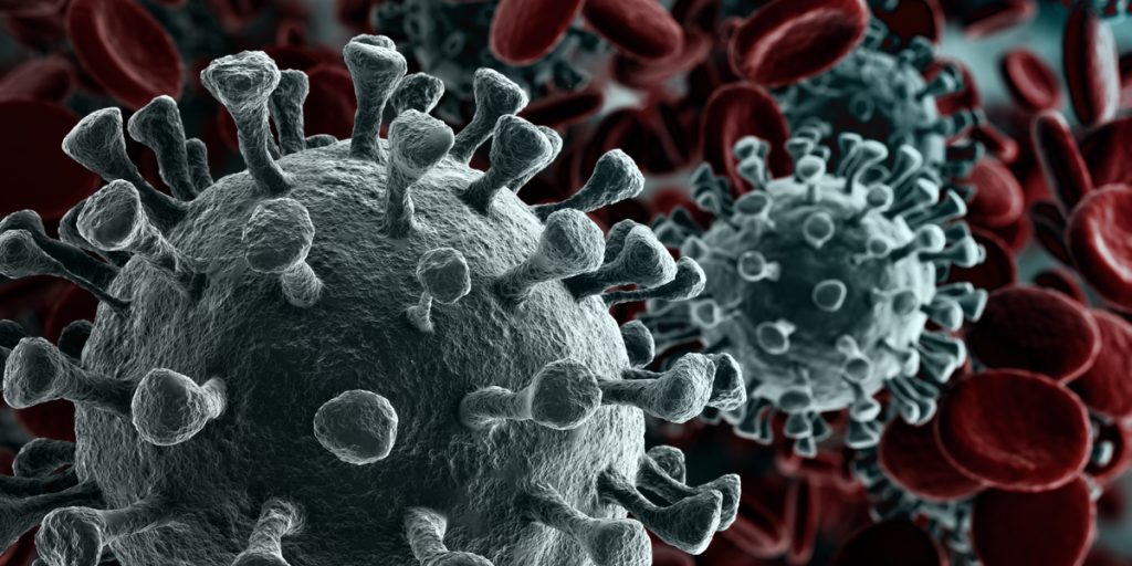 virus
