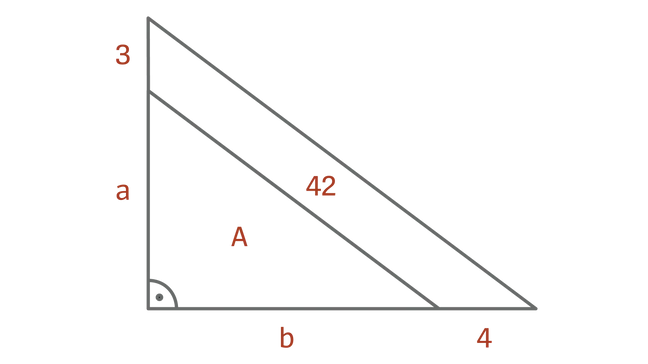 Quiz, hjernetrim