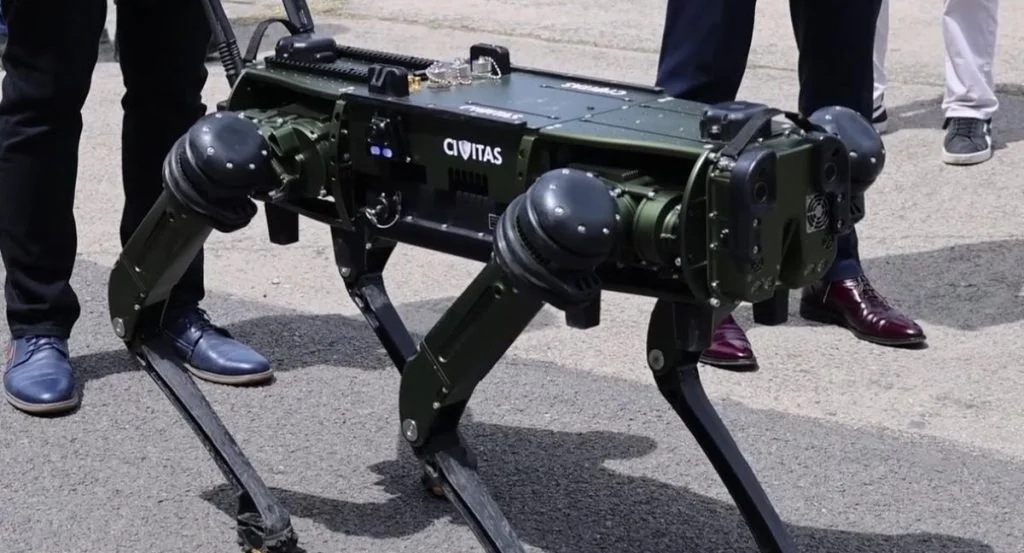 robot dog