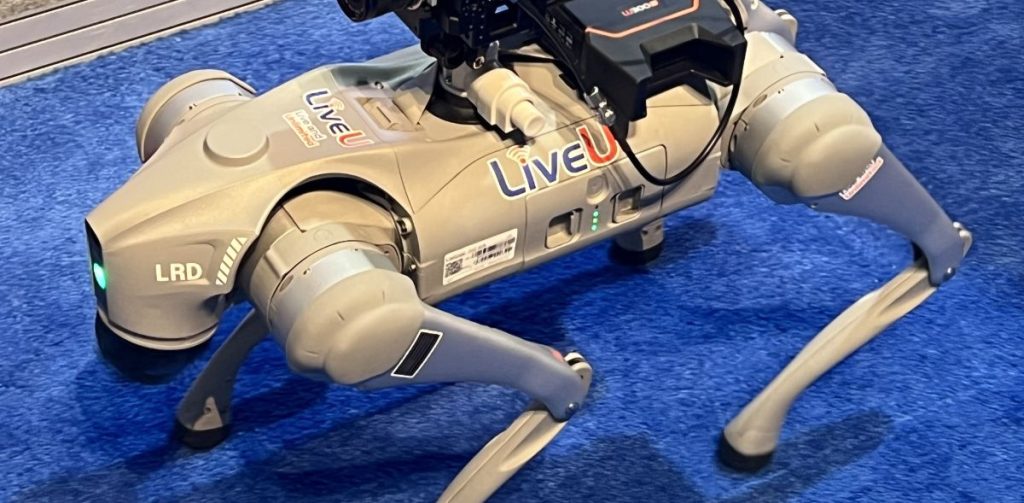 robot dog