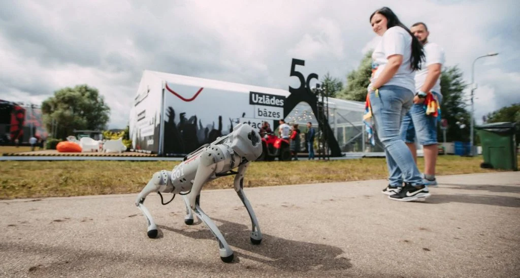 robot dog